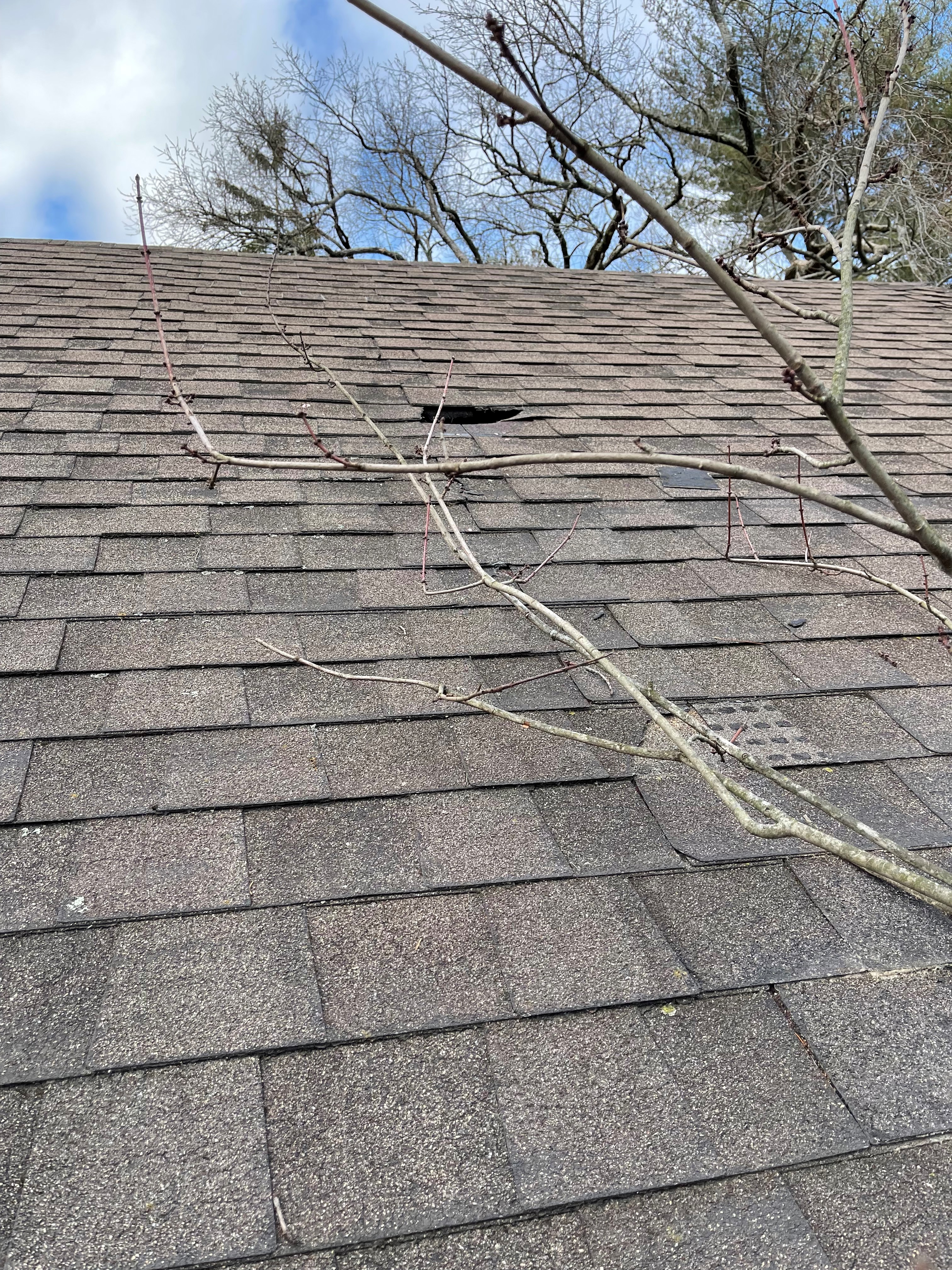 Roof work required